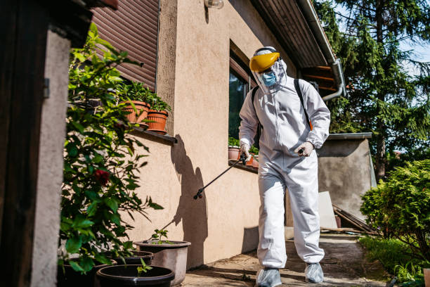 Best Affordable Pest Control Services  in Congress, AZ