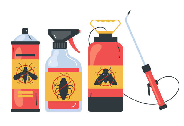 Wasp Removal Services in Congress, AZ