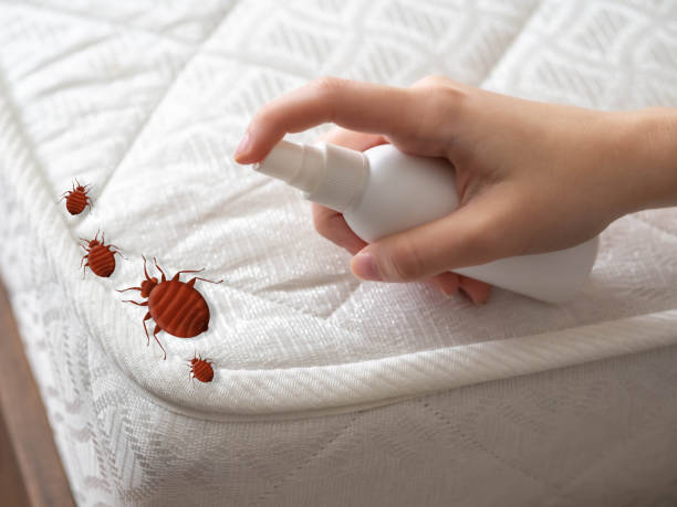 Best Best Pest Control Companies  in Congress, AZ